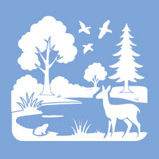 Natürlicher Klimaschutz & Artenvielfalt